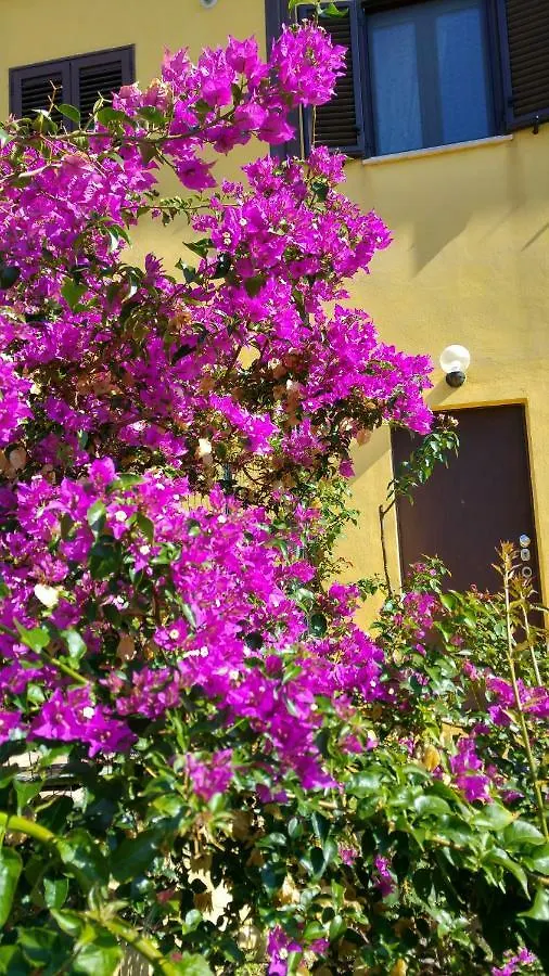 *** Bed & Breakfast Vistazzurra B&B Ancona Italia